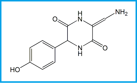 CEFADROXIL EP IMPURITY E  